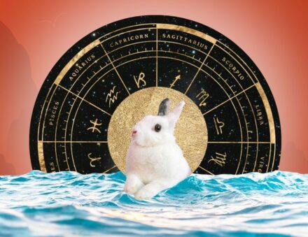 From Fierce To Fluffy In 0.2 Seconds: Your Year of the Rabbit Horoscope Is Here