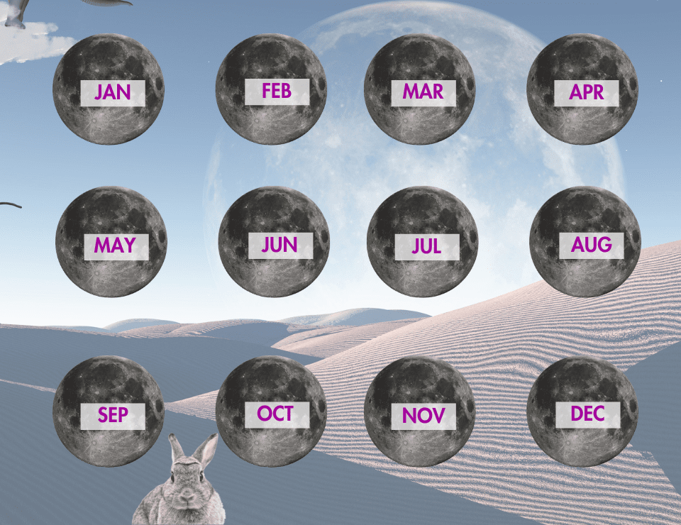 all the 2023 new moons