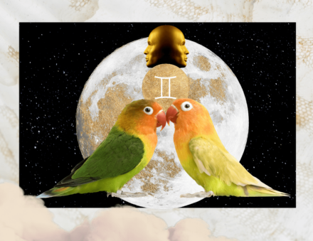 The November Gemini Full Moon Puts You In “Pairing Mode” (Expect the Unexpected!)